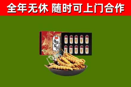 河东区回收冬虫夏草价格