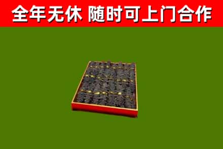 河东区回收海参